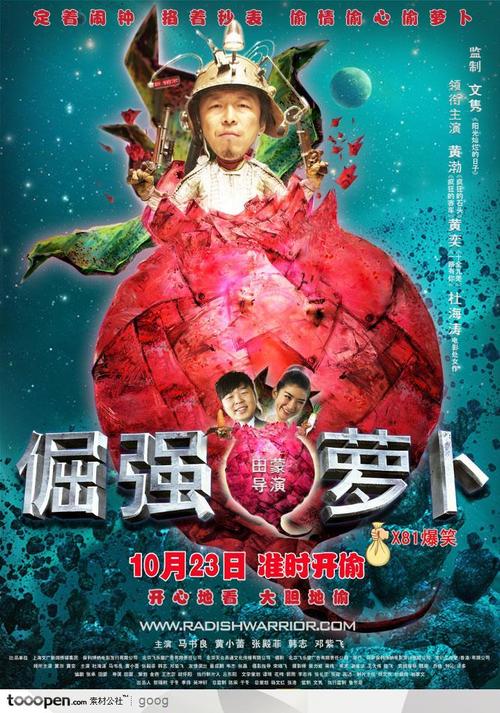 新潟国際情報大学电子工程学位证书